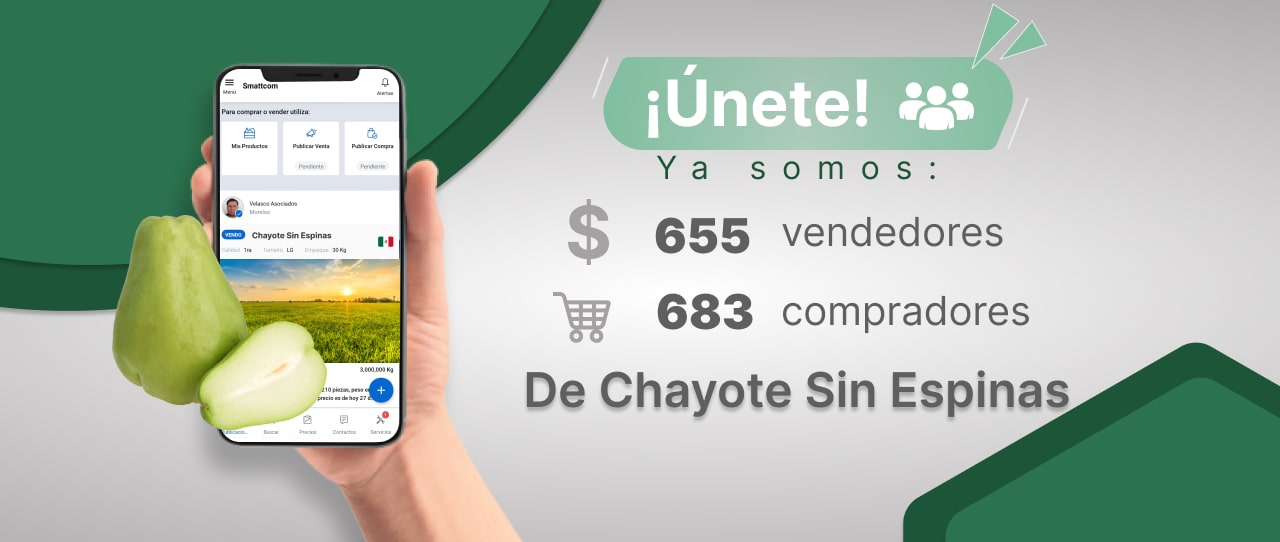 Consulta precios de Chayote sin Espinas y comercialízalo en Smattcom