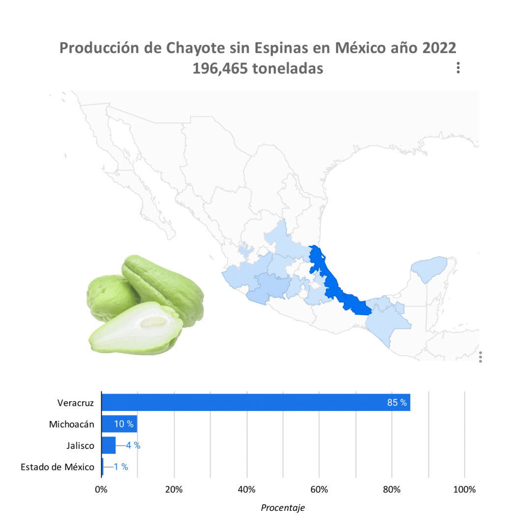producción chayote