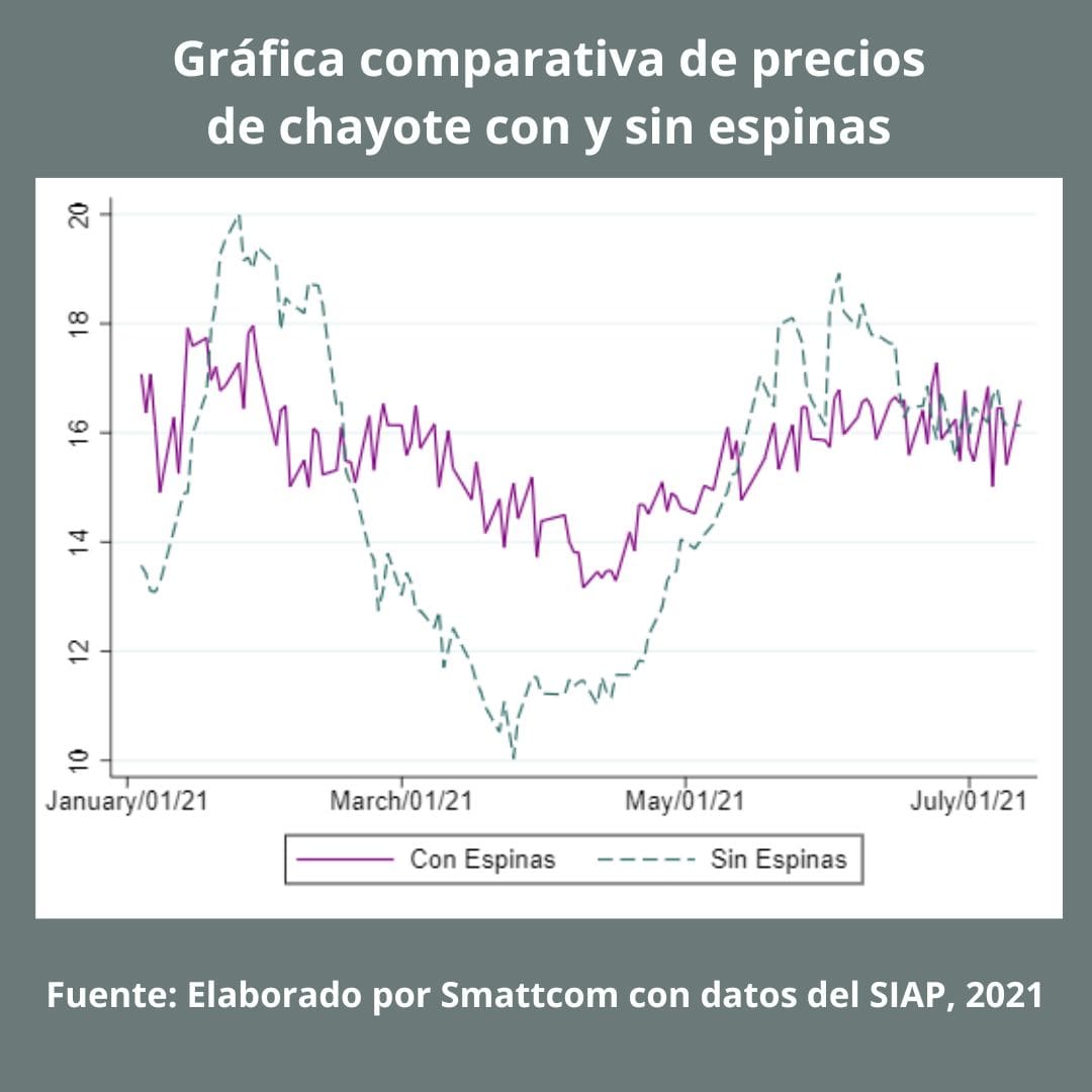 Consulta precios de Chayote sin Espinas y comercialízalo en Smattcom
