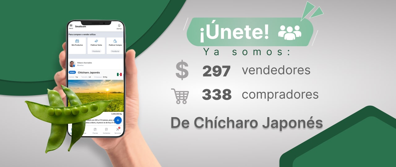 Consulta precios de Chícharo y comercialízalo en Smattcom