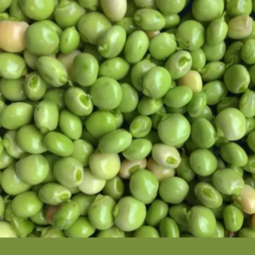 Consulta precios de Chícharo y comercialízalo en Smattcom