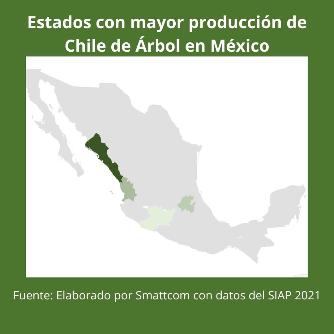 Consulta precios de Chile de Árbol Fresco y comercialízalo en Smattcom