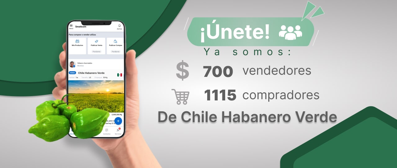 Consulta precios de Chile Habanero Verde y comercialízalo en Smattcom