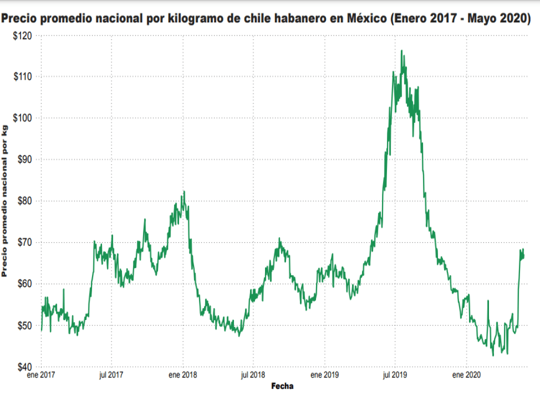Consulta precios de Chile Habanero Verde y comercialízalo en Smattcom