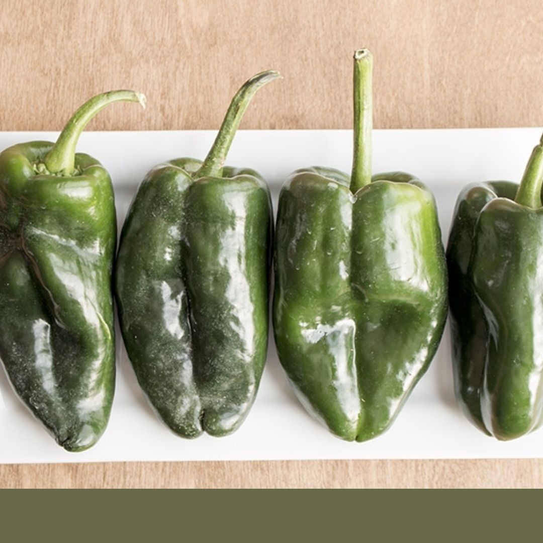 Consulta precios de Chile Poblano y comercialízalo en Smattcom