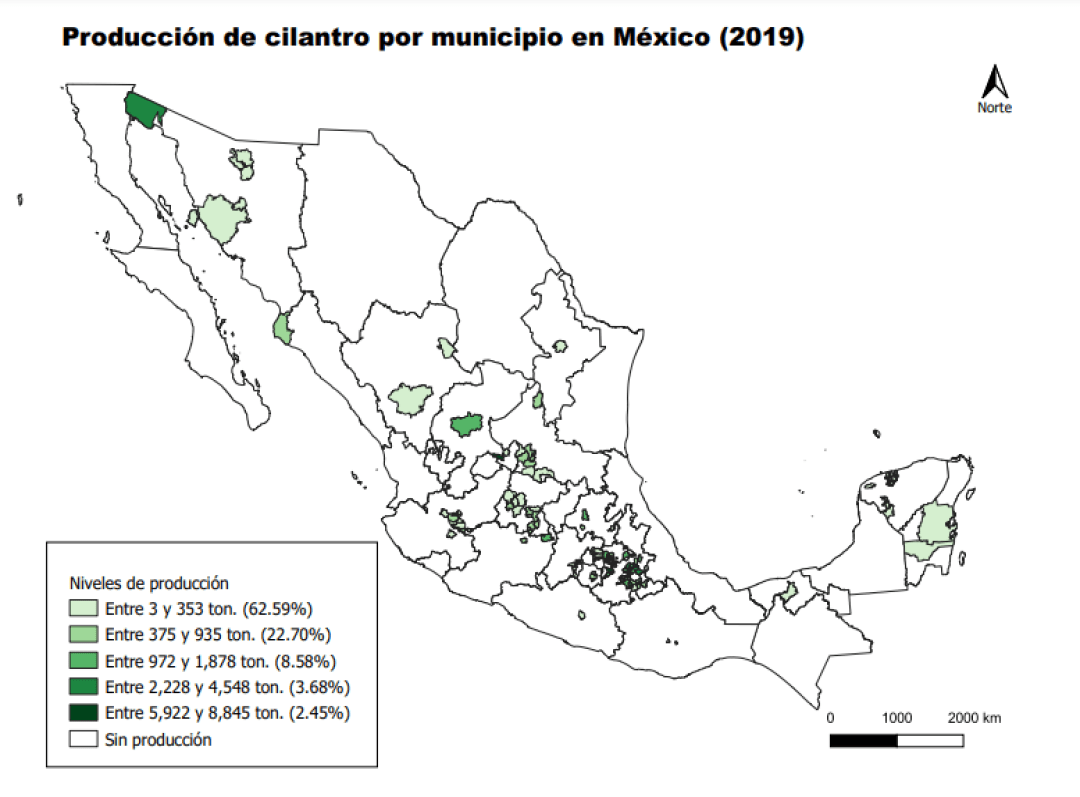 Consulta precios de Cilantro y comercialízalo en Smattcom