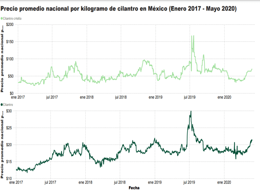 Consulta precios de Cilantro y comercialízalo en Smattcom