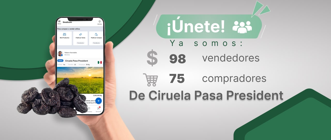 Consulta el Precio de Ciruela Pasa y comercialízala en Smattcom