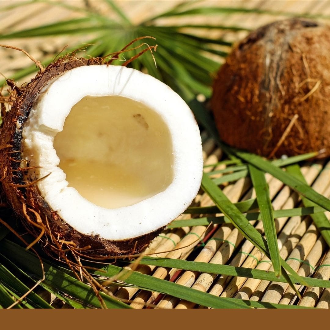 Consulta precios de Coco y comercialízalo en Smattcom