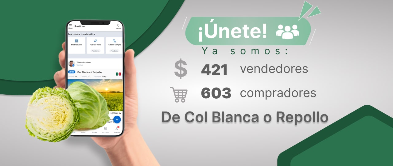 Consulta precios de Col Blanca o Repollo y comercialízala en Smattcom