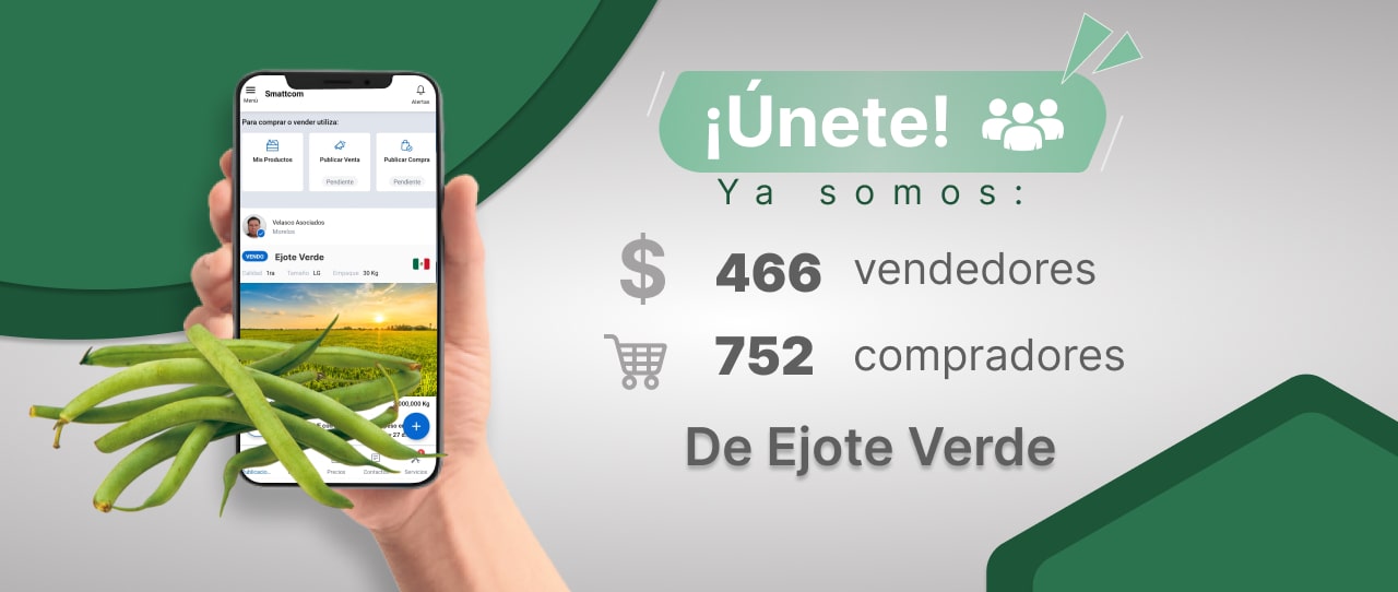 Consulta precios de Ejote y comercialízalo en Smattcom