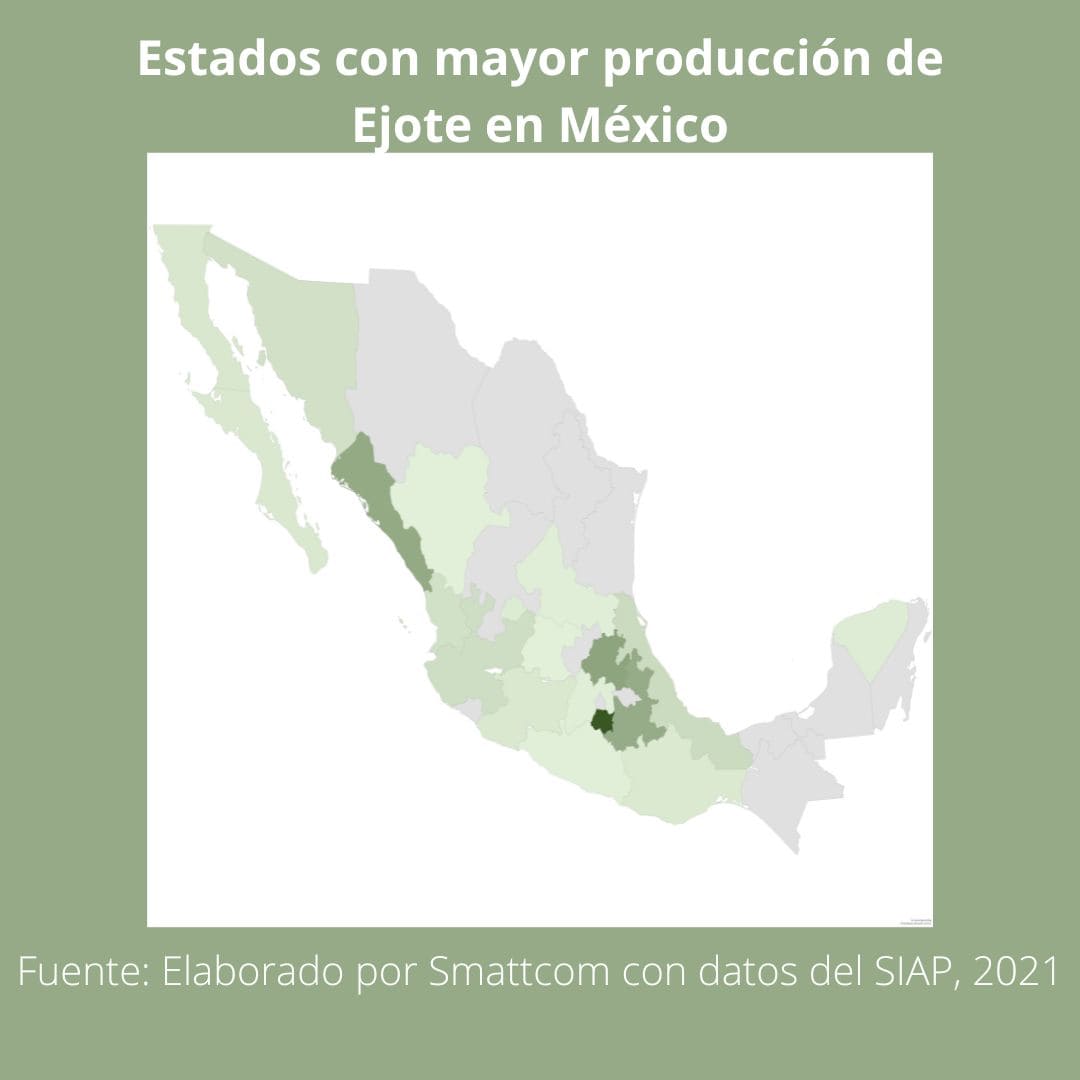 Consulta precios de Ejote y comercialízalo en Smattcom