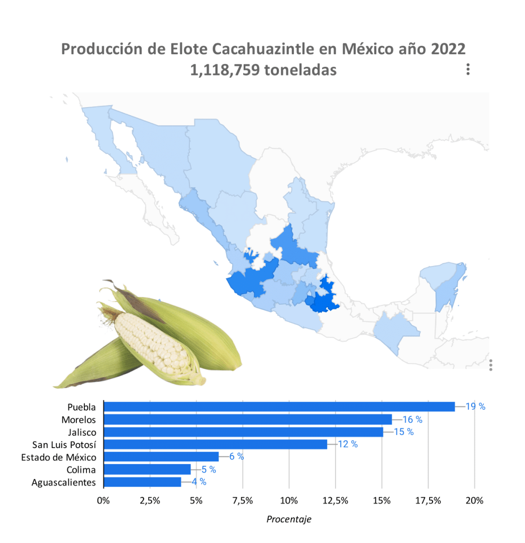 Producción Elote