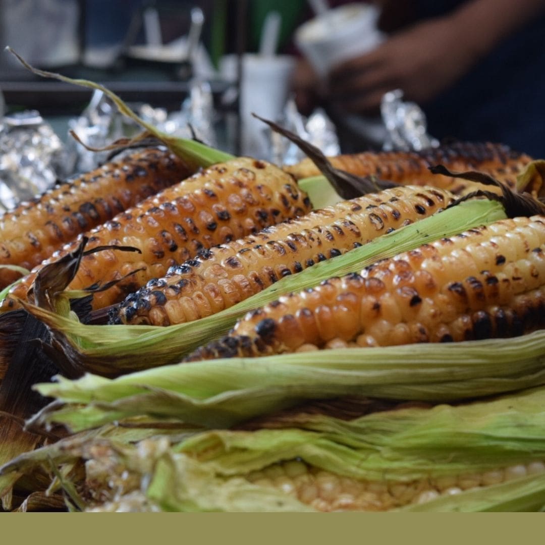 Consulta precios de Elote Cacahuazintle y comercialízalo en Smattcom