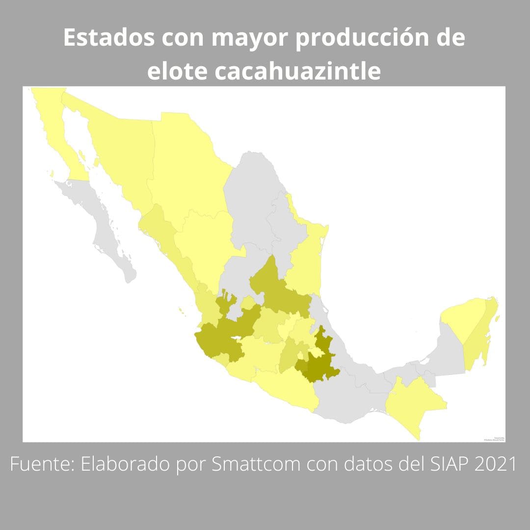 Consulta precios de Elote Cacahuazintle y comercialízalo en Smattcom
