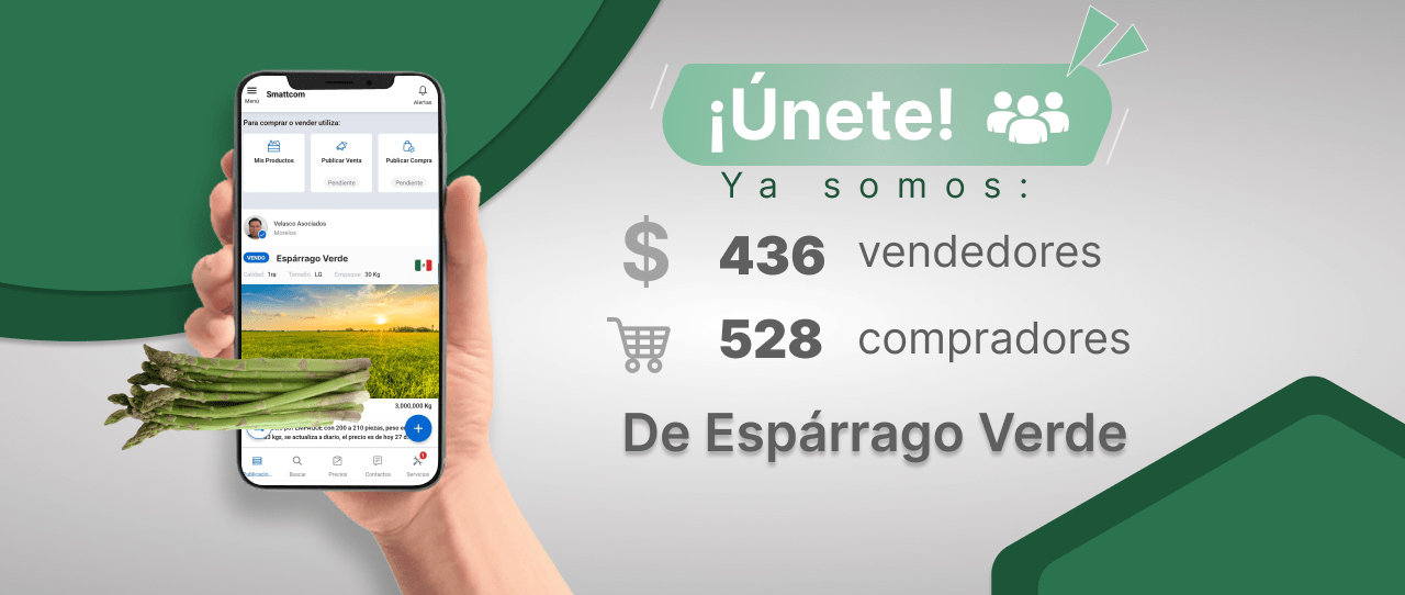 Consulta precios de Espárrago Verde y comercialízalo en Smattcom