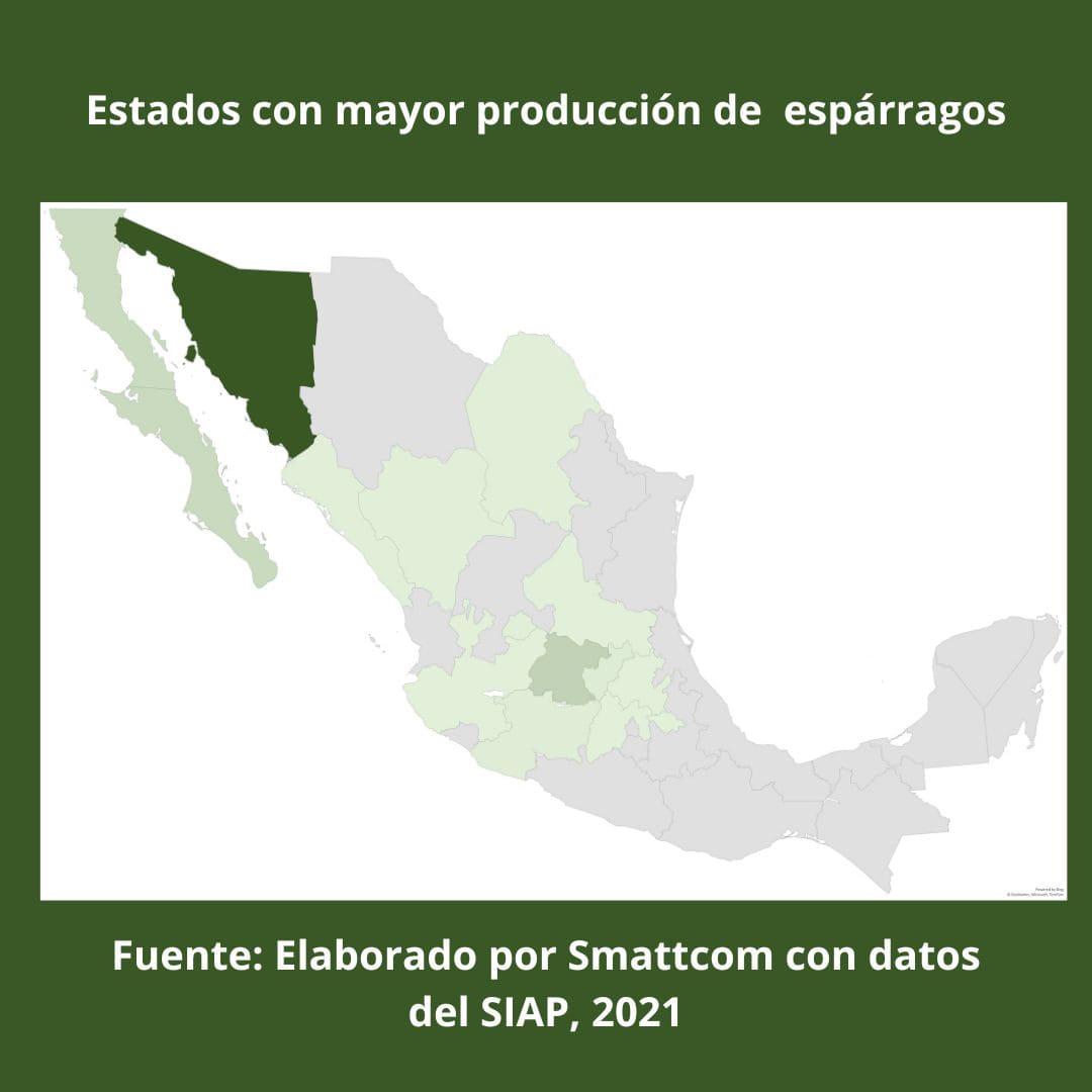 Consulta precios de Espárrago Verde y comercialízalo en Smattcom