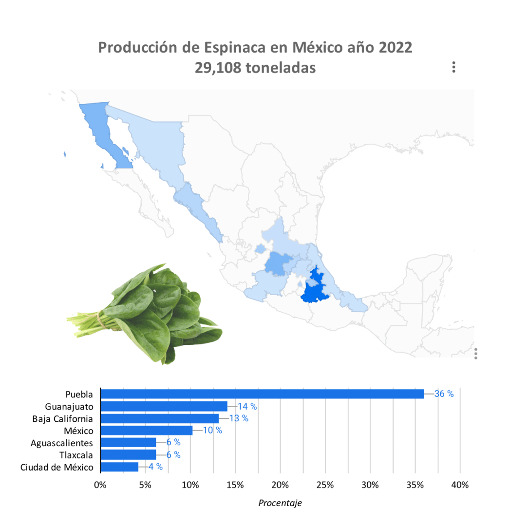 producción espinaca