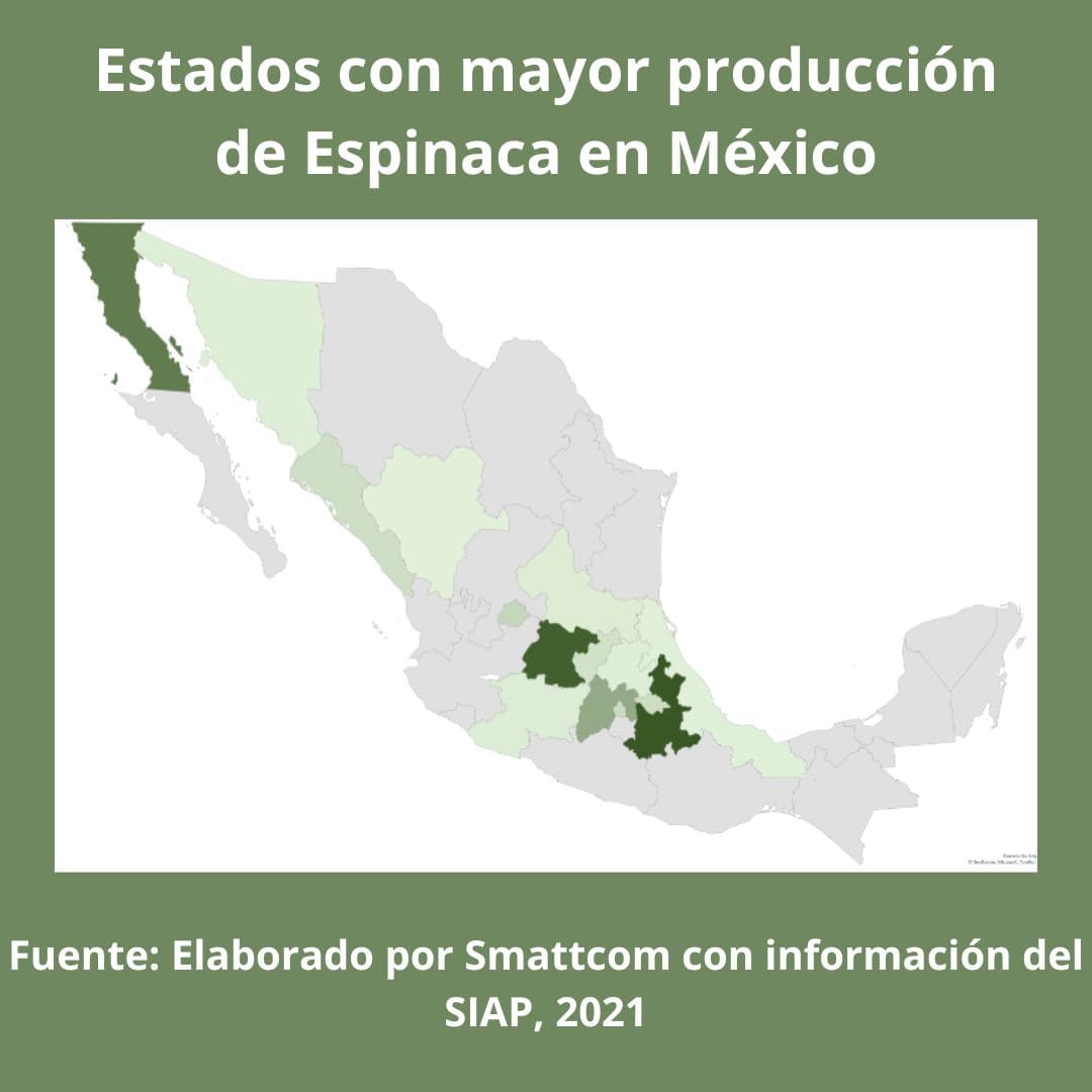 Consulta precios de Espinaca y comercialízala en Smattcom