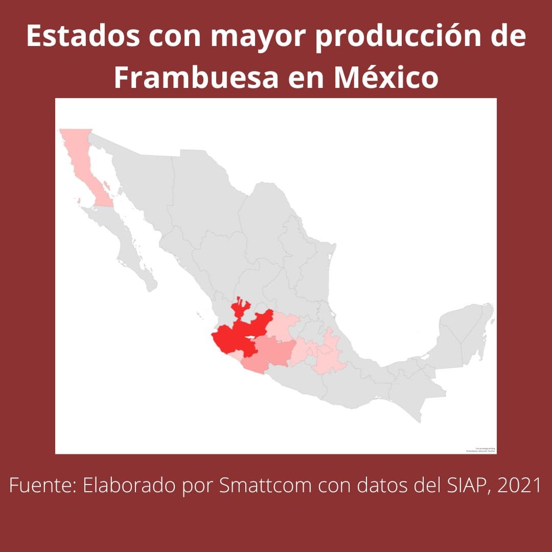 Consulta precios de Frambuesa y comercialízala  en Smattcom