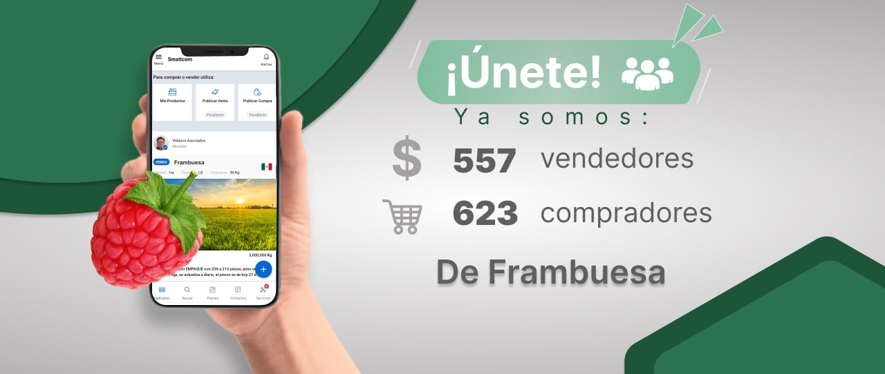 Consulta precios de Frambuesa y comercialízala  en Smattcom
