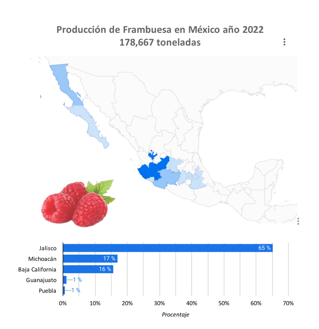 Gráfica Producción