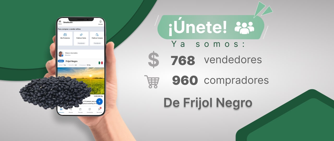 Consulta precios de Frijol Negro y comercialízalo en Smattcom