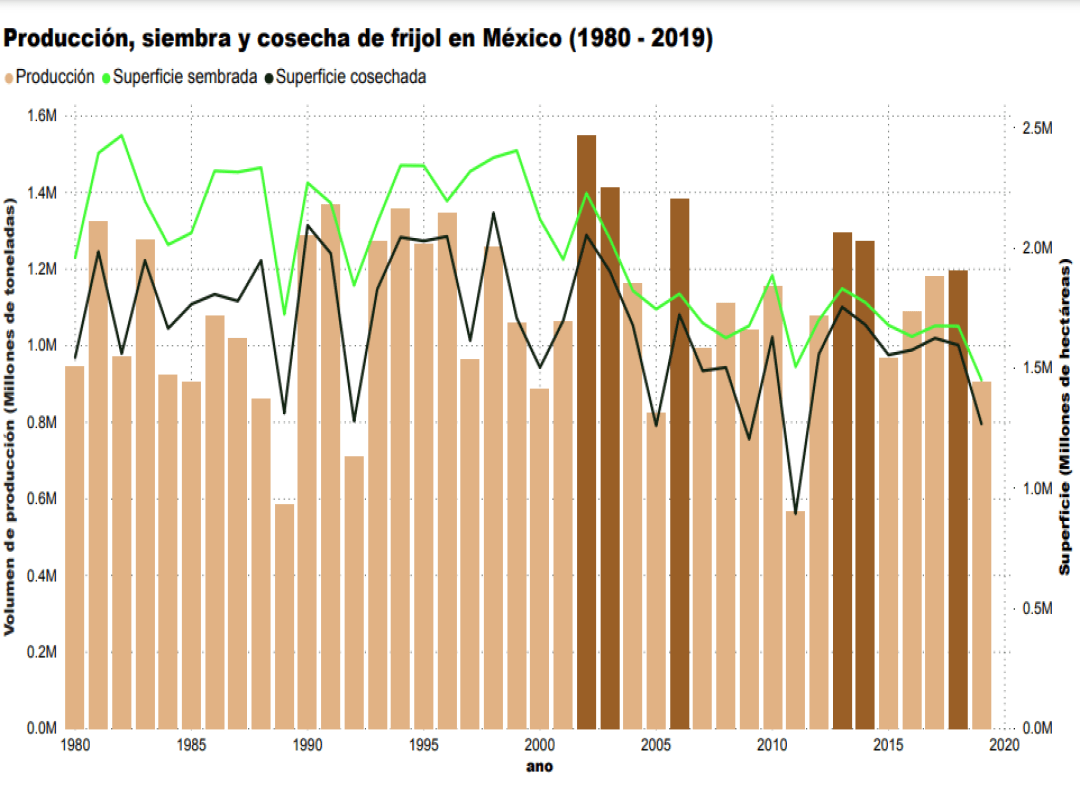 Consulta precios de Frijol Negro y comercialízalo en Smattcom