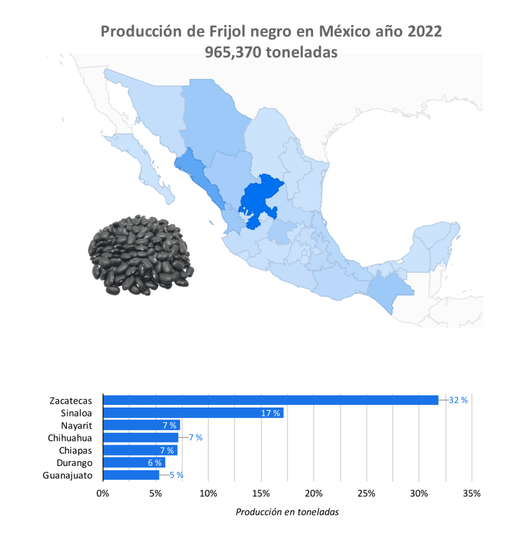 producción frijol