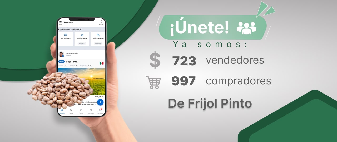 Consulta precios de Frijol Pinto y comercialízalo en Smattcom