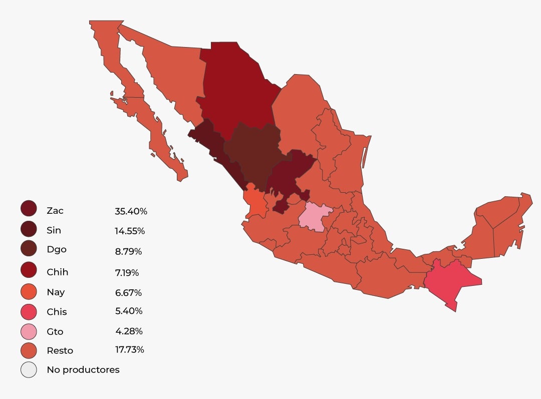 Consulta precios de Frijol Pinto y comercialízalo en Smattcom