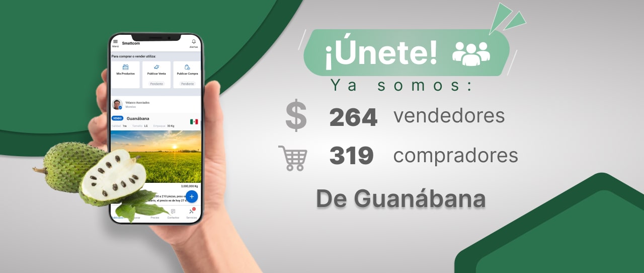 Consulta precios de Guanábana y comercialízala en Smattcom