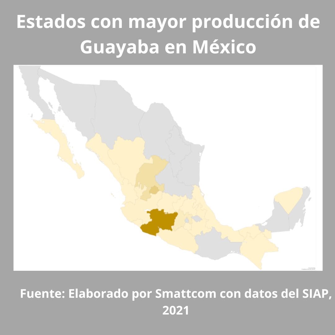Consulta precios Guayaba y comercialízala en Smattcom
