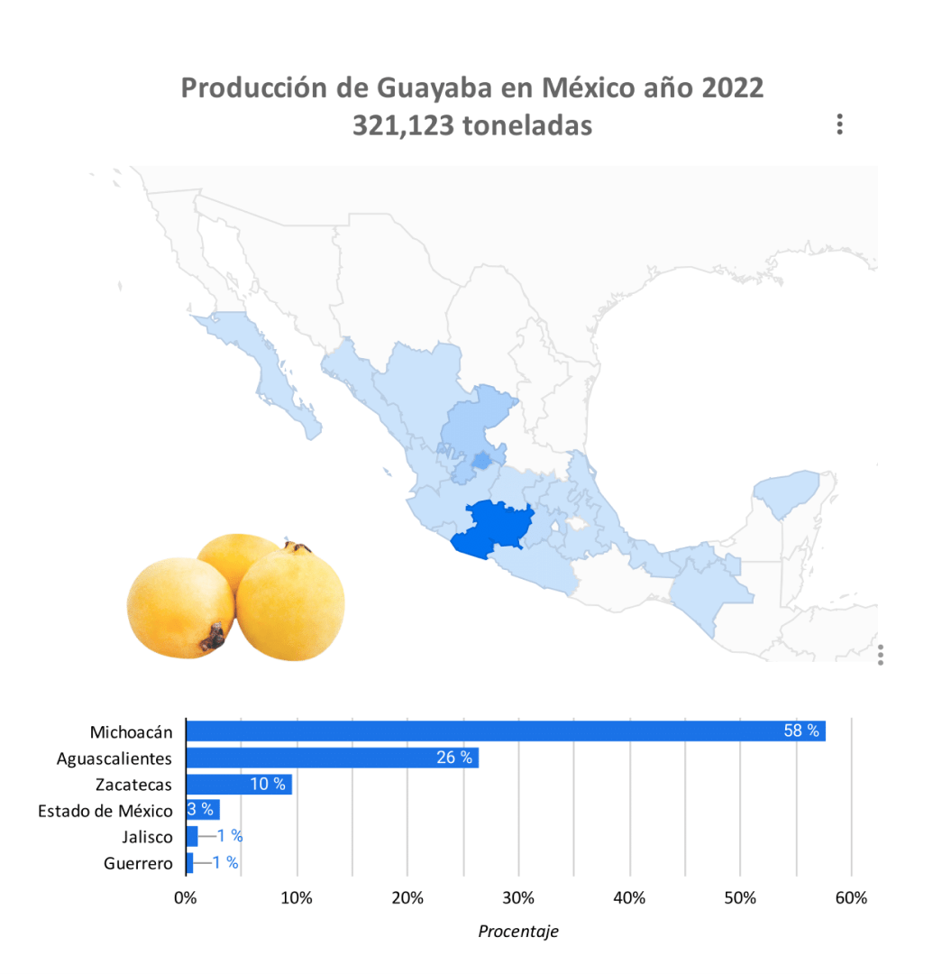 producción guayaba