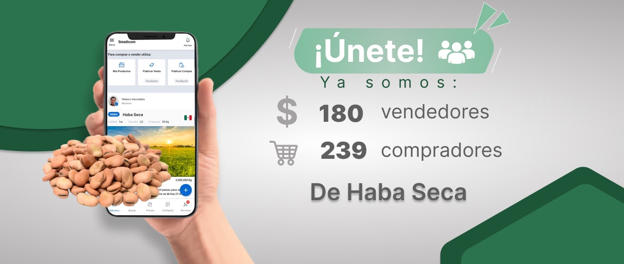 Consulta precios de Haba Seca y comercialízala en Smattcom