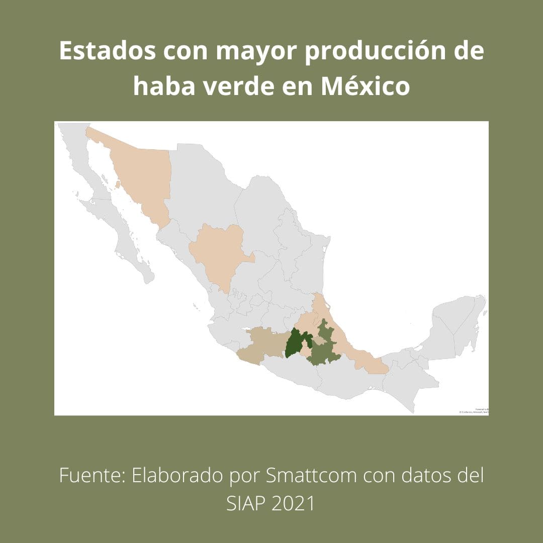 Consulta precios de Haba Verde y comercialízala en Smattcom