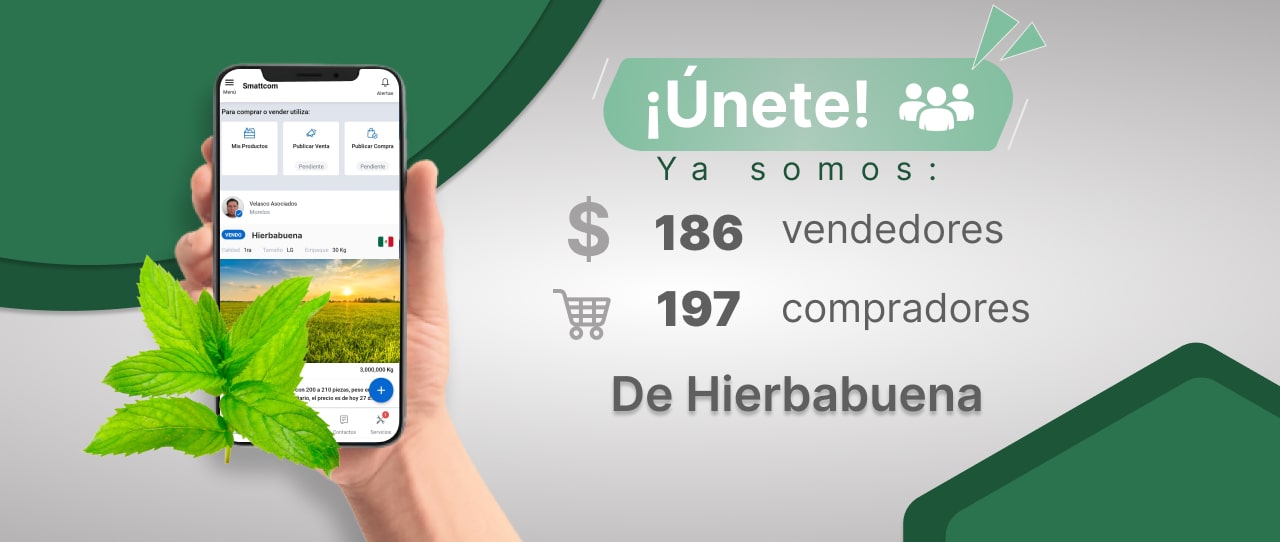 Consulta precios de Hierbabuena y comercialízala en Smattcom