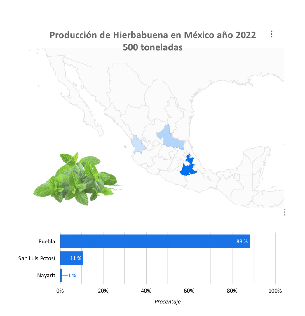 producción hierbabuena
