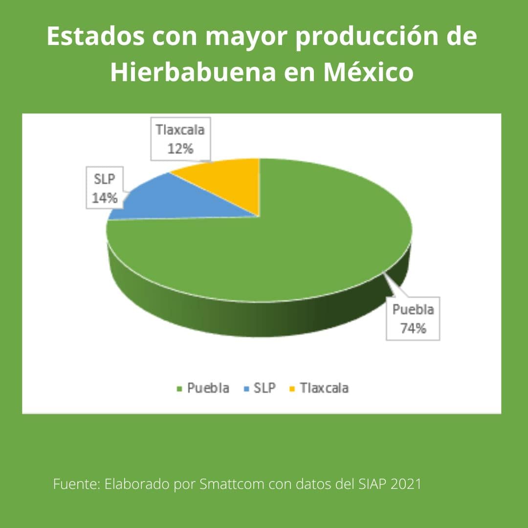 Consulta precios de Hierbabuena y comercialízala en Smattcom