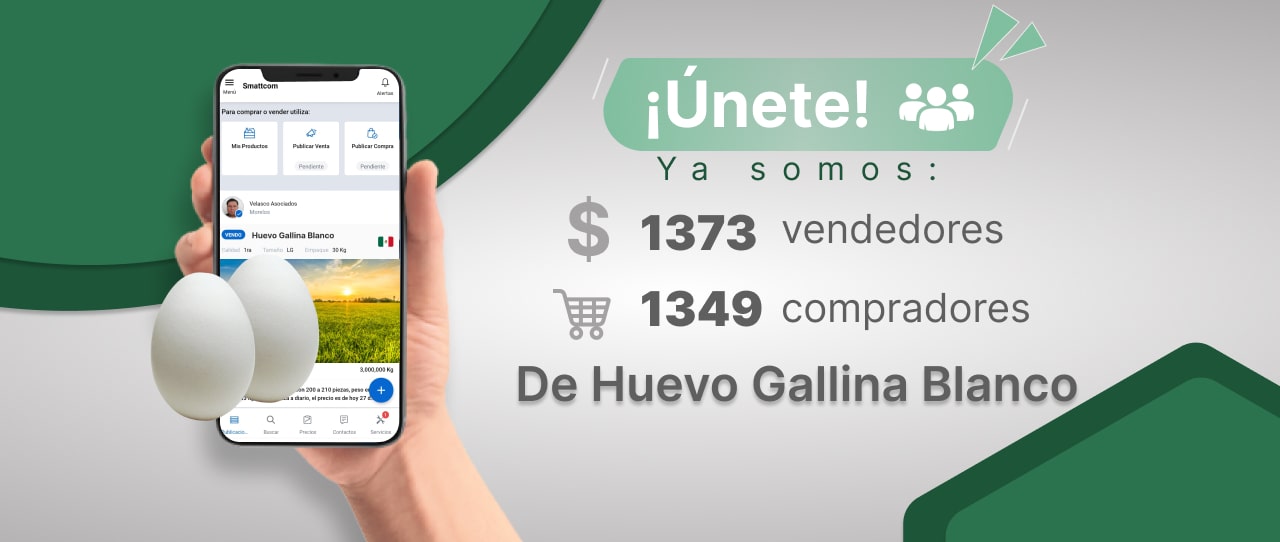 Consulta precios de Huevo Blanco y comercialízalo en Smattcom