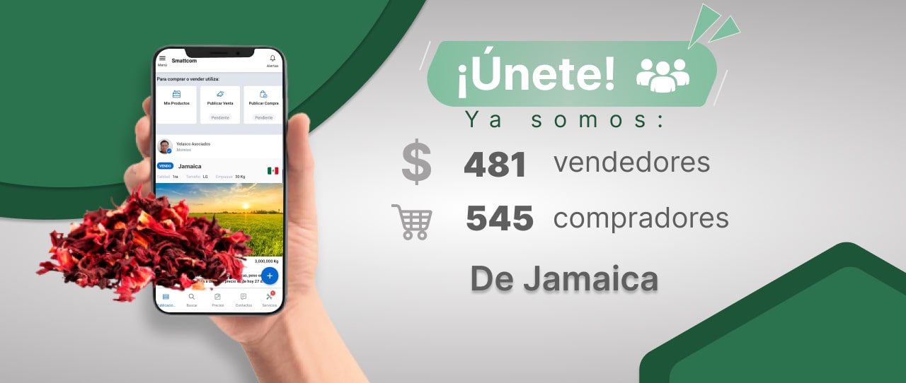 Consulta precios de Jamaica y comercialízala en Smattcom
