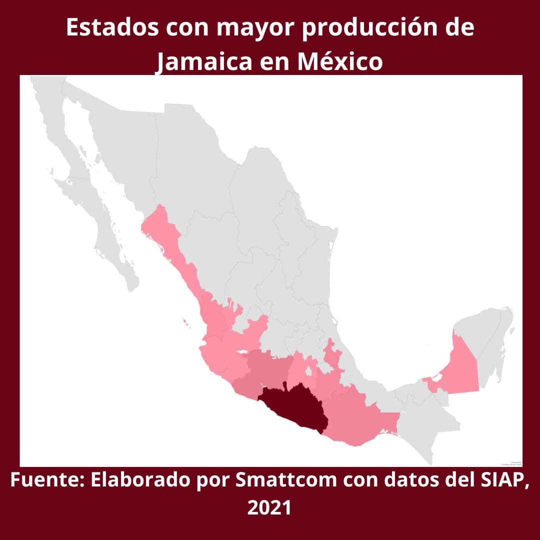 Consulta precios de Jamaica y comercialízala en Smattcom