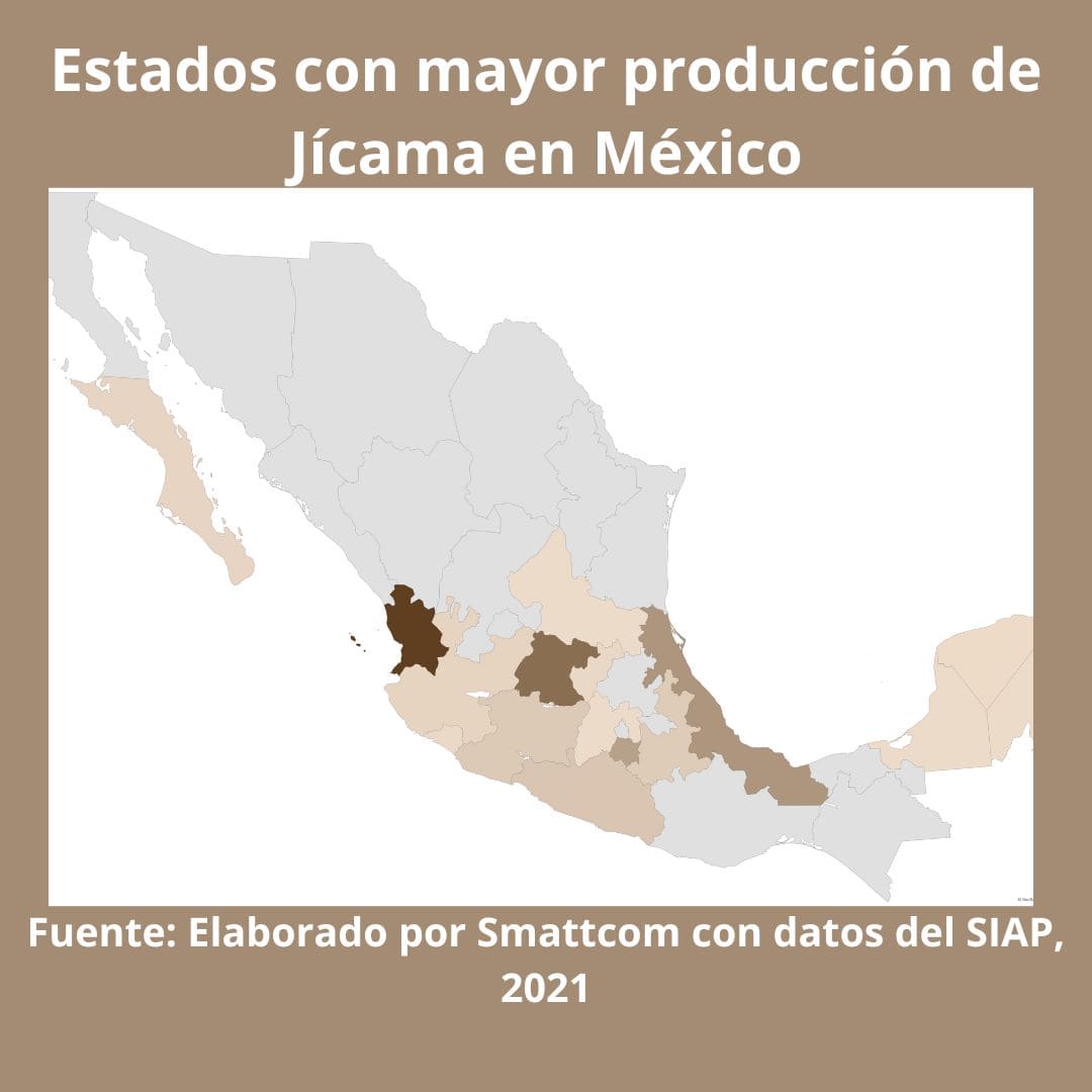 Consulta precios de Jícama y comercialízala en Smattcom