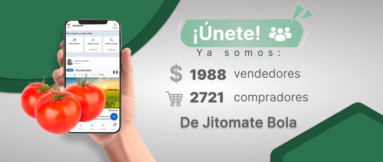 Consulta precios de Jitomate Bola y comercialízalo en Smattcom