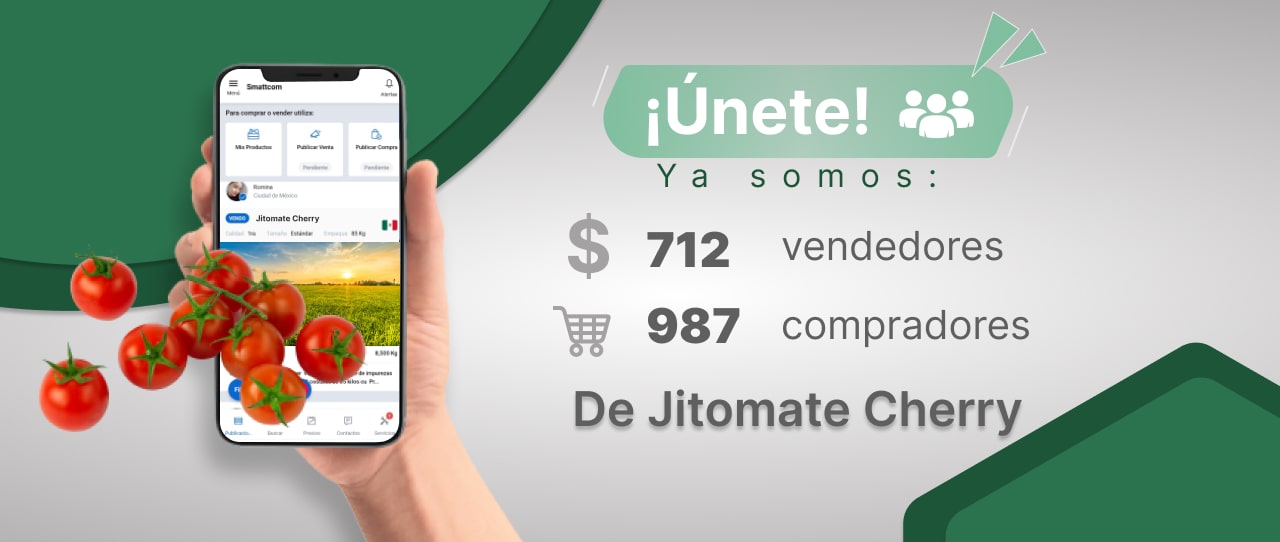 Consulta precios de Jitomate Cherry y comercialízalo en Smattcom