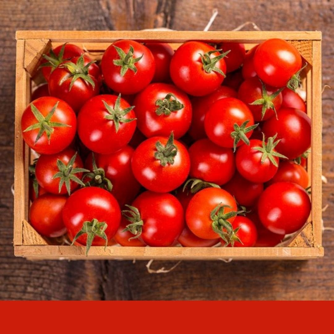 Consulta precios de Jitomate Cherry y comercialízalo en Smattcom