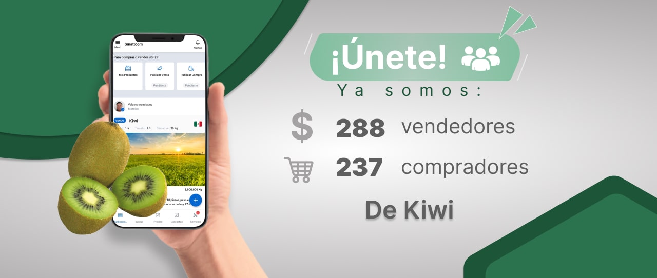 Consulta precios de Kiwi y comercialízalo en Smattcom
