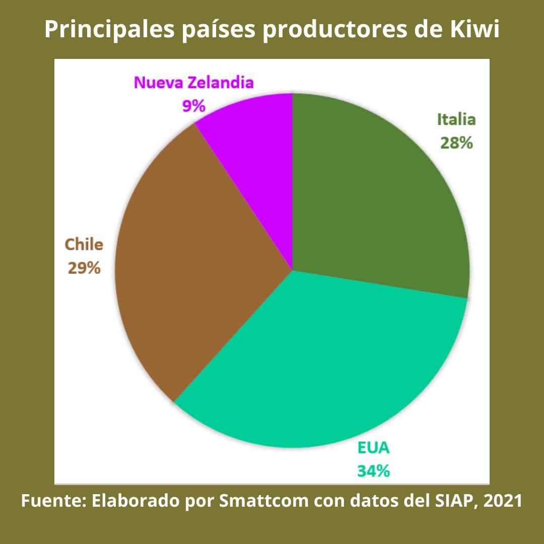 Consulta precios de Kiwi y comercialízalo en Smattcom