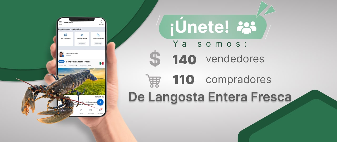 Consulta precios de Langosta Entera Fresca y comercialízala en Smattcom
