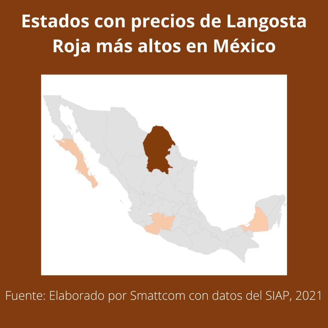 Consulta precios de Langosta Entera Fresca y comercialízala en Smattcom